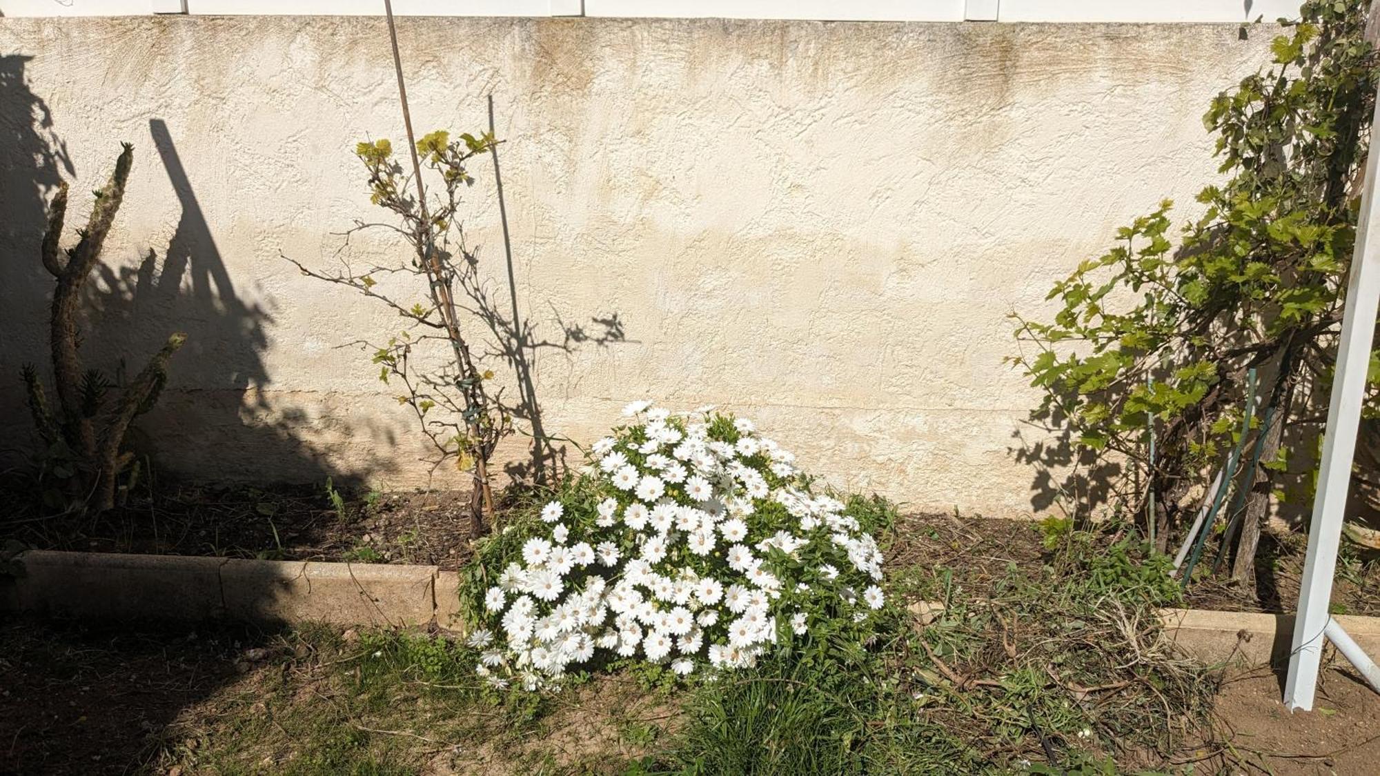 Maisonnette Kalis Calme Avec Climatisation Parking Jardin Cadre Campagne Plages A Pieds Bandol Eksteriør bilde