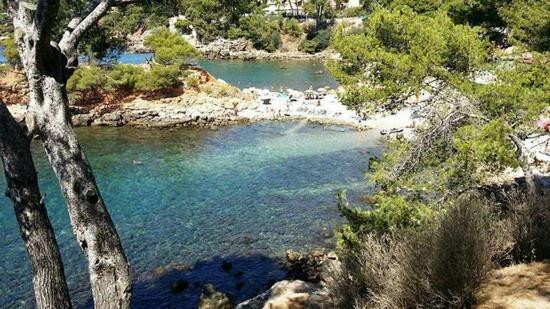 Maisonnette Kalis Calme Avec Climatisation Parking Jardin Cadre Campagne Plages A Pieds Bandol Eksteriør bilde